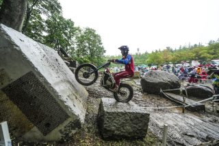 TrialGP25_r5_Gelabert-M_PEP08789_ps