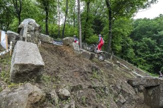 TrialGP25_r6_Gelabert-M_PEP00501_ps