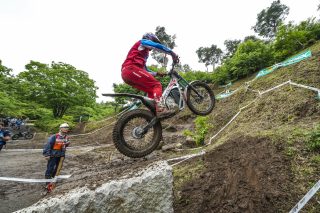 TrialGP25_r6_Gelabert-M_PEP00894_ps