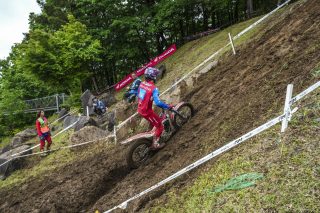 TrialGP25_r6_Gelabert-M_PEP02354_ps